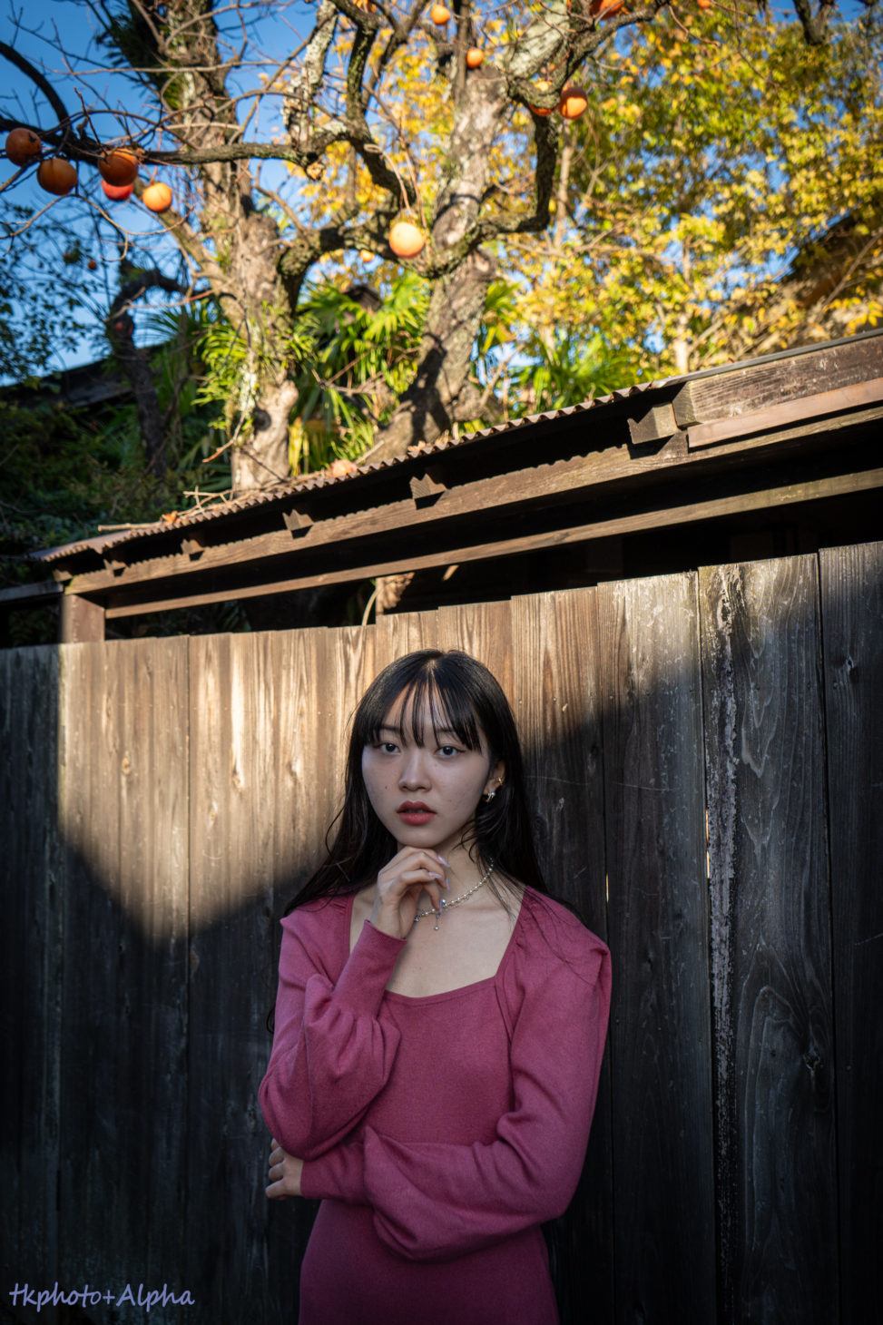 おうしょうはん の写真