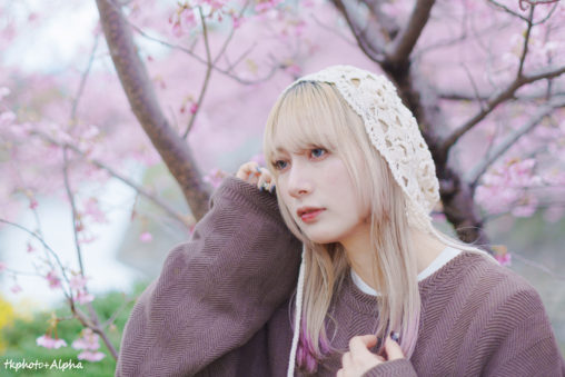 桜とれなさんの写真