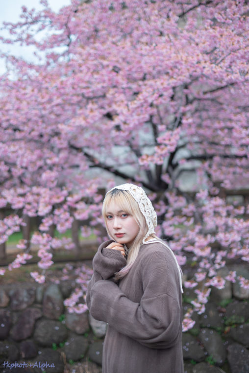 河津桜とれなさん