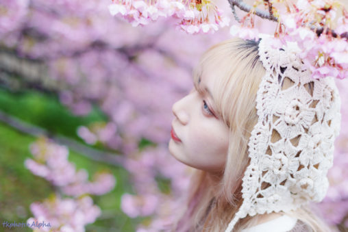 桜とれなさんの写真