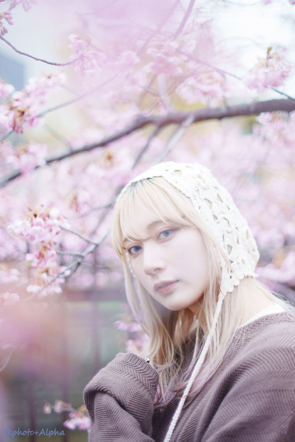 桜とれなさんの写真