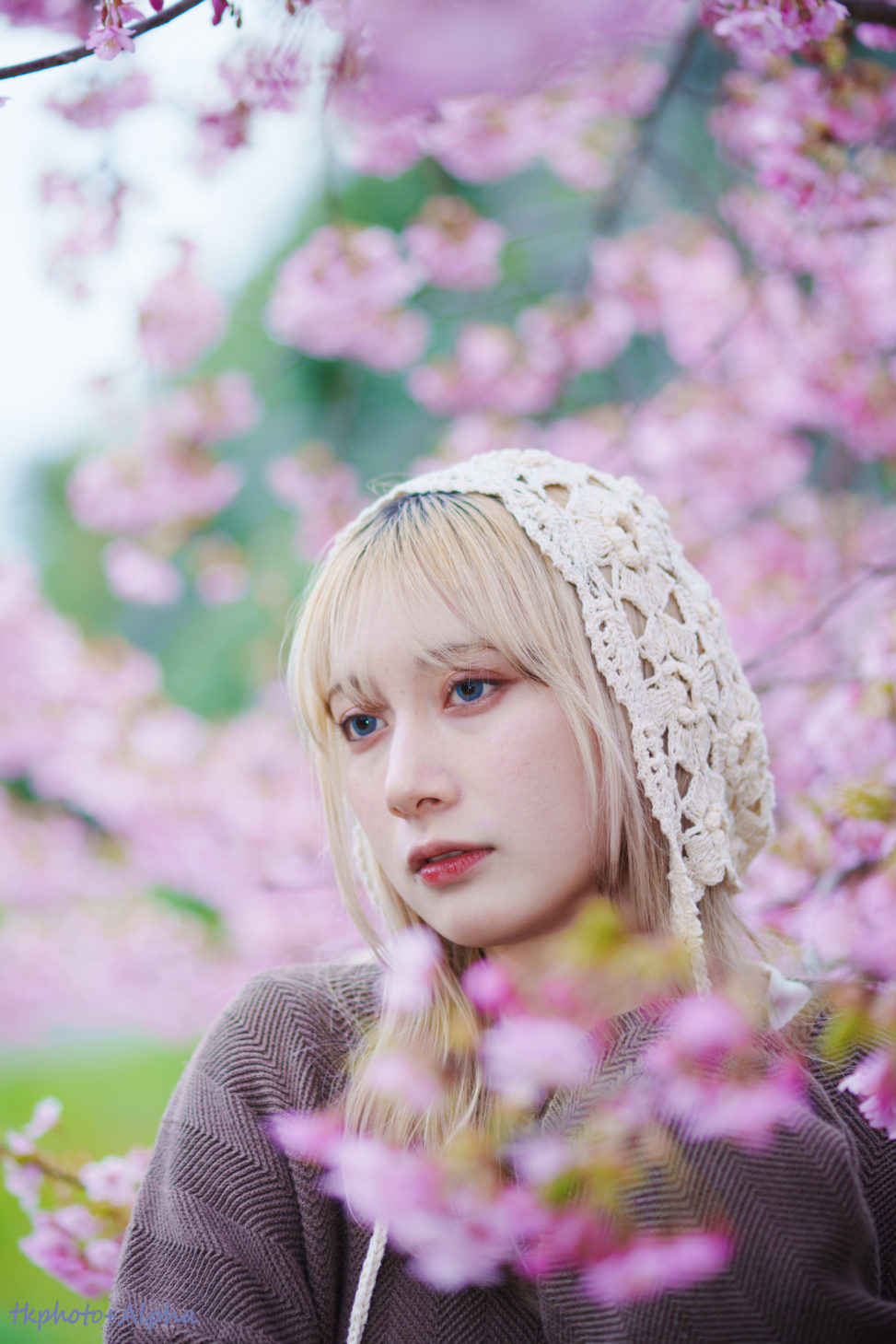 桜とれなさんの写真